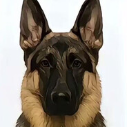 大狗嚼俱乐部布鲁斯2号