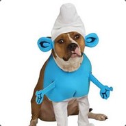 Smurfdog2