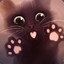 Mr_Kitten