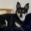 Jax