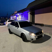Кавказский кот