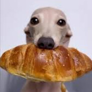 psychocroissant
