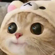 练习两年半的卓恒T