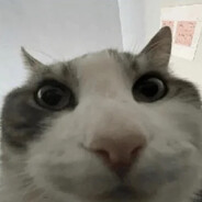 Valentonto