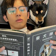 海的那边还是海