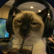 Just a dumb cat avatar