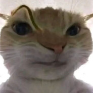 她也曾满眼柔光