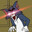 Mouse PEEK