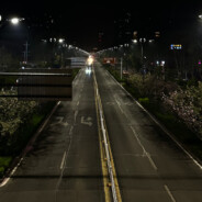 路边吃烧烤的小胖