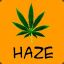 Hawiian Haze