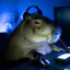 Cabybara Gamer