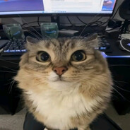 Дданечка avatar