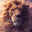 TheLion