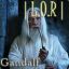 |L.O.R| Gandalf