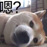 563410967
