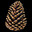 Pinecone