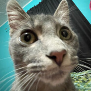 TherealGUMPER avatar