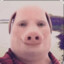 John Pork