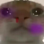 属鼠我呀，又被踢似了