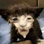 Peninha