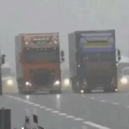 跟我的保险说去吧