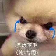 暗影拽少小椰煎饼