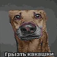 MODE:ГРЫЗТЬ КАКАШКИ