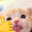 meow
