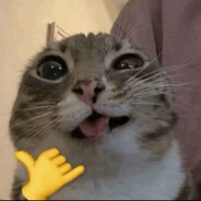 Капрал кунических войск - steam id 76561199704680996