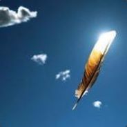 希望队友是个人