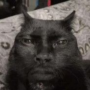 Bolfik avatar