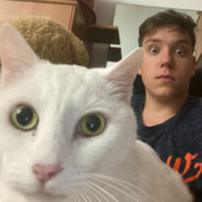 Sică avatar