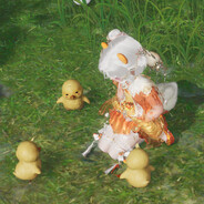 流泪猫猫头正在乱窜