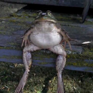 не сдавайся