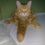 Big Avatar