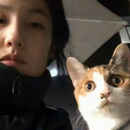 我心因何恼春风