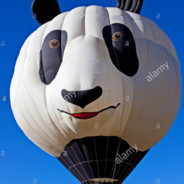 PandaBallon4