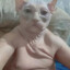 Animan