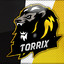 Torrix_YT