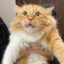 artis_1479