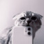 IT&#039;S ME