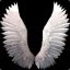 Angelwing