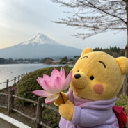 社会主义核心价值观