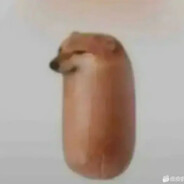 学儿食媳汁，不亦乐乎