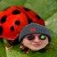 Bug Bigga