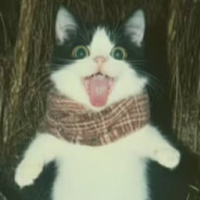 比武相亲输给老蒯