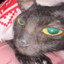 Zya Blick