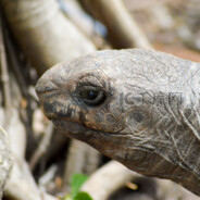 这周日你有空吗