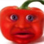 StodolaParasela