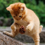 期末考试把学姐草稿抄了